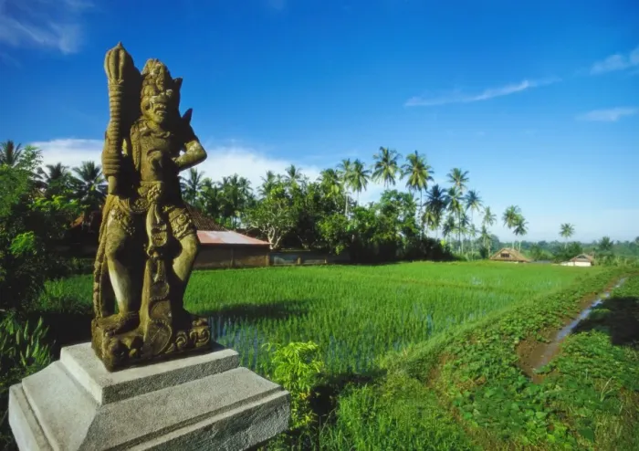 Framed Print : Staue of Raksha in a Rice Field, Ubud, Gianyar, Bali Framed Print : Staue of Raksha in a Rice Field, Ubud, Gianyar, Bali