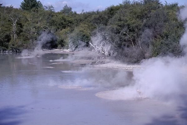 Steam and bubbling mud pools in thermal area