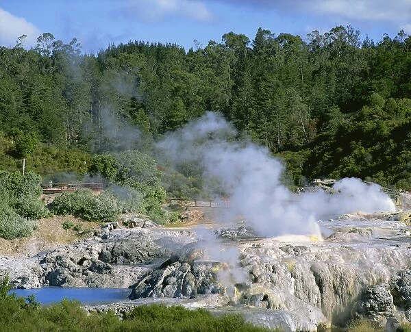 Steam rising in the Whakarewarewa Thermal Reserve in Rotorua, South Auckland