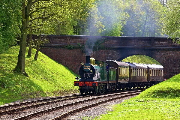 Steam train on Bluebell Railway, Horsted Keynes, West Sussex, England, United Kingdom, Europe