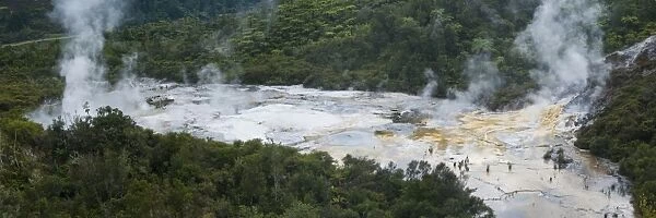 Steaming geothermal area at Orakei Korako Thermal Park, The Hidden Valley, North Island, New Zealand, Pacific
