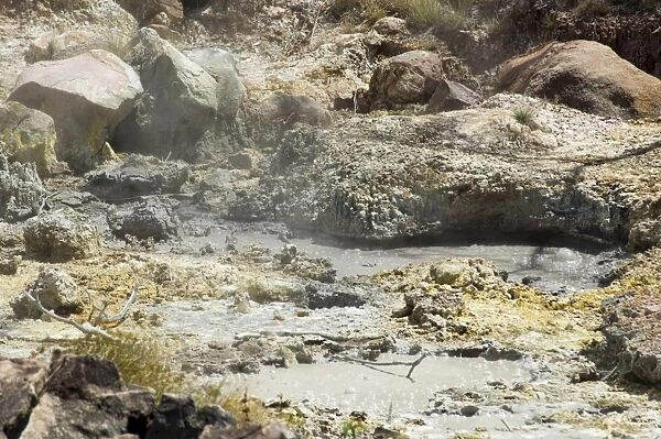 Steaming volcanic mud pools, Rincon de la Vieja National Park at foot of Rincon Volcano
