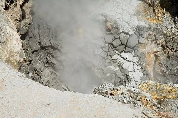 Steaming volcanic mud pools, Rincon de la Vieja National Park, at foot of Rincon Volcano