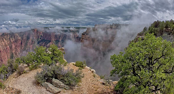 Steamlike fog rising out of Grand Canyon South Rim just east of Grandview Point, Grand Canyon National Park, UNESCO World Heritage Site, Arizona, United States of America, North America