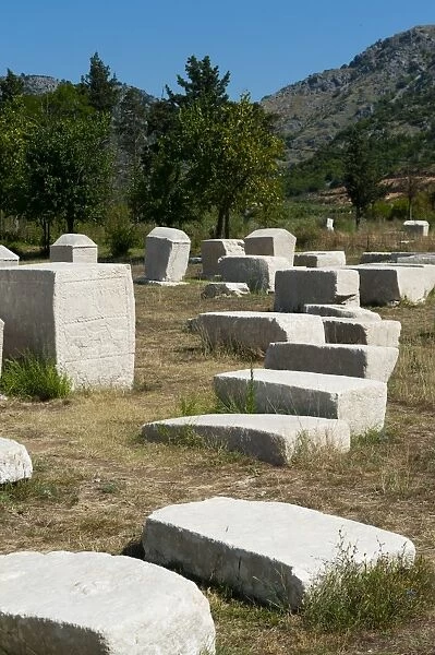 Stecak necropolis of Radimlja, located near Stolac, Bosnia and Herzegovina, Europe