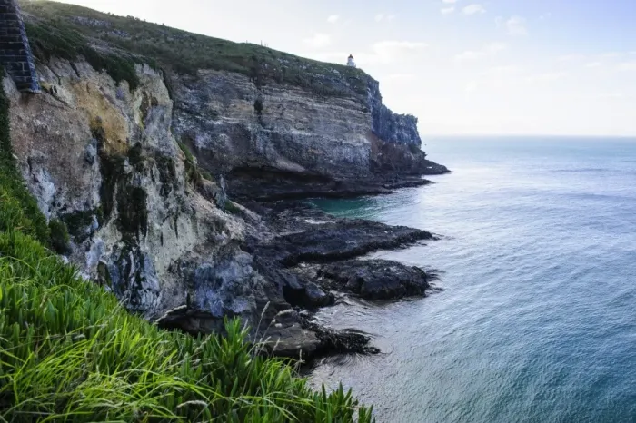 Framed Print : Steep cliffs at Taiaroa Head, Otago Peninsula, South Island, New Zealand, Pacific Framed Print : Steep cliffs at Taiaroa Head, Otago Peninsula, South Island, New Zealand, Pacific