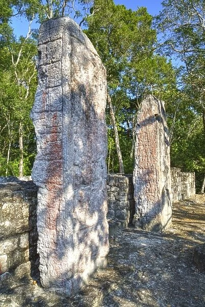 Stela 24 on right, and Stela 23 on left, on top of Structure VI, Calakmul Mayan Archaeological Site