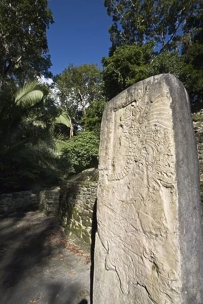 Stela 9 erected in AD 625 to commemorate the accession of Lord Smoking Shell in 608