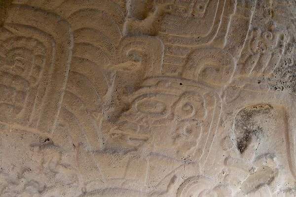 Detail of a Stela, Mayan archaeological site, Tikal, UNESCO World Heritage Site