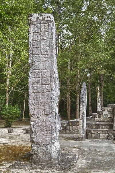 Stelae in front of Structure 1, Calakmul Mayan Archaeological Site, UNESCO World Heritage Site