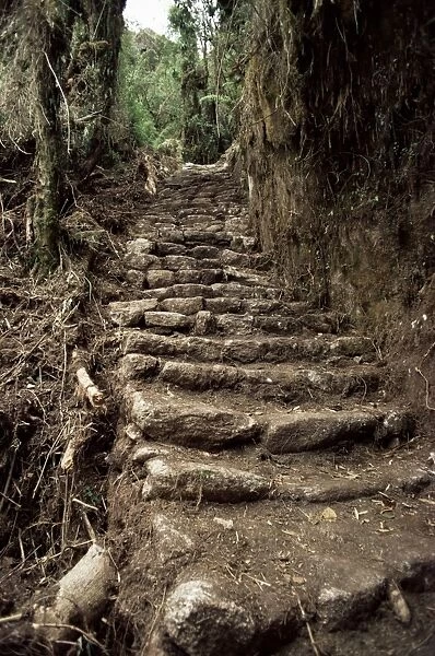 Steps on the Inca Trail
