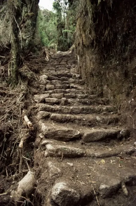 Framed Print : Steps on the Inca Trail