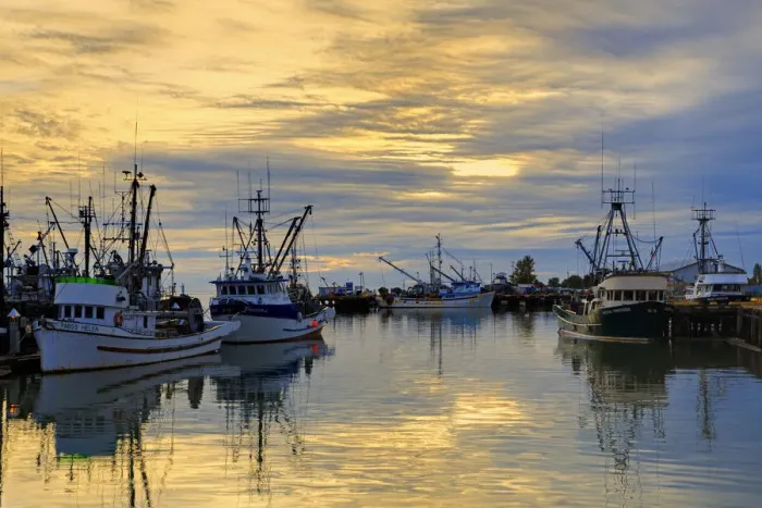 Framed Print : Steveston Fishing Village, Vancouver, British Columbia, Canada, North America Framed Print : Steveston Fishing Village, Vancouver, British Columbia, Canada, North America