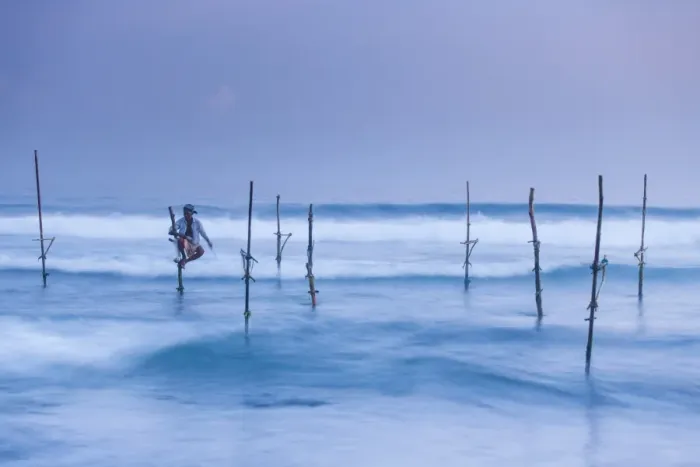 Framed Print : Stilt fisherman, Mirissa, Sri Lanka, Asia Framed Print : Stilt fisherman, Mirissa, Sri Lanka, Asia