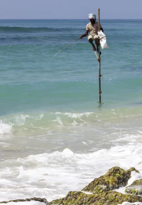 Framed Print : Stilt fisherman using traditional fishing techniques on a wooden pole, Weligama, Sri Lanka, Indian Ocean, Asia Framed Print : Stilt fisherman using traditional fishing techniques on a wooden pole, Weligama, Sri Lanka, Indian Ocean, Asia