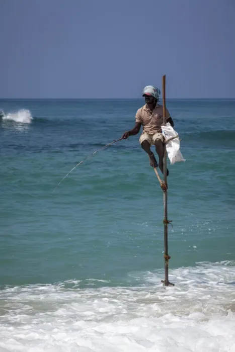 Framed Print : Stilt fisherman using traditional fishing techniques on a wooden pole, Weligama, Sri Lanka, Indian Ocean, Asia Framed Print : Stilt fisherman using traditional fishing techniques on a wooden pole, Weligama, Sri Lanka, Indian Ocean, Asia