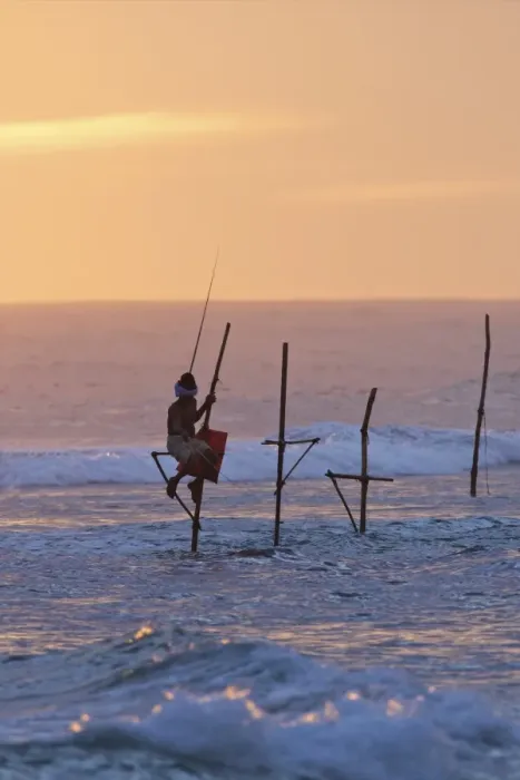Framed Print : Stilt fisherman at Weligama, South Coast, Sri Lanka, Asia Framed Print : Stilt fisherman at Weligama, South Coast, Sri Lanka, Asia