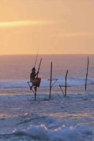 Stilt fisherman at Weligama, South Coast, Sri Lanka, Asia