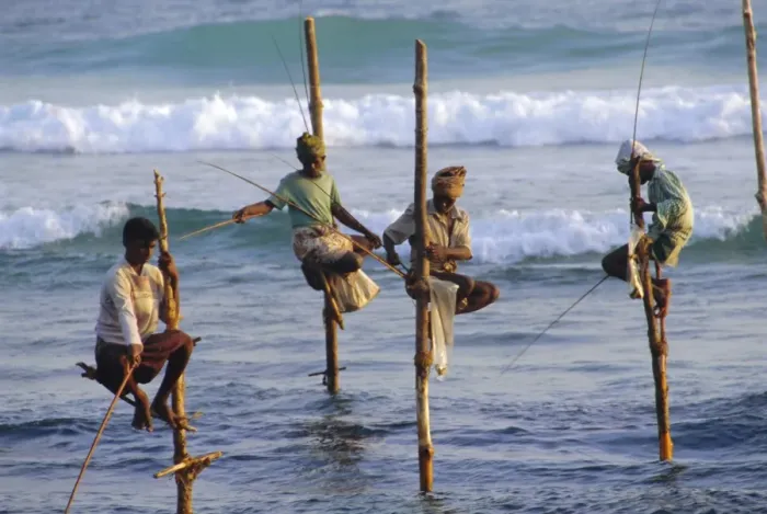 Framed Print : Stilt fishermen Framed Print : Stilt fishermen