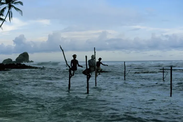 Framed Print : Stilt fishermen fishing from their poles between Unawatuna Framed Print : Stilt fishermen fishing from their poles between Unawatuna