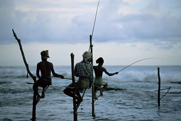 Stilt fishermen fishing from their poles between Unawatuna
