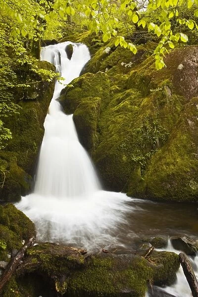 Part of Stock Ghyll Force waterfall near Ambleside, Lake District National Park, Cumbria, England, United Kingdom, Europe