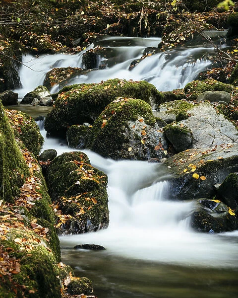 Stock Ghyll Force Waterfalls, Ambleside, Lake District, Cumbria, England, United Kingdom