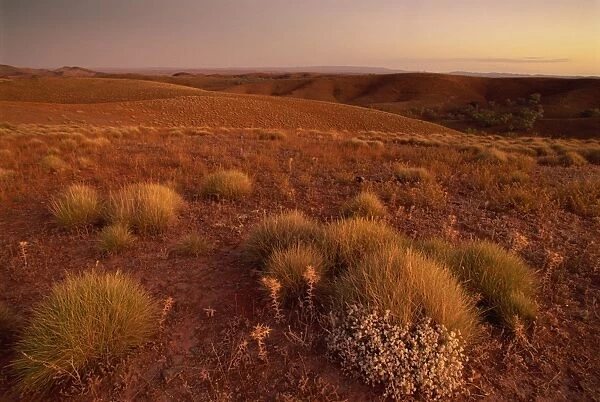 Stokes Lookout, Flinders Range, South Australia, Australia, Pacific
