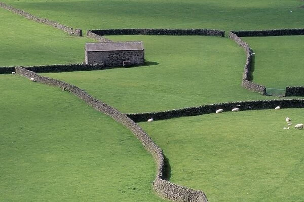 Stone barn and dry stone walls, Gunnerside, Swaledale, Yorkshire, England