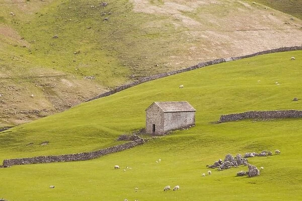 A stone barn near to Littondale in the Yorkshire Dales, Yorkshire, England, United Kingdom, Europe