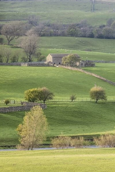 Stone barn in the Yorkshire Dales National Park, Yorkshire, England, United Kingdom