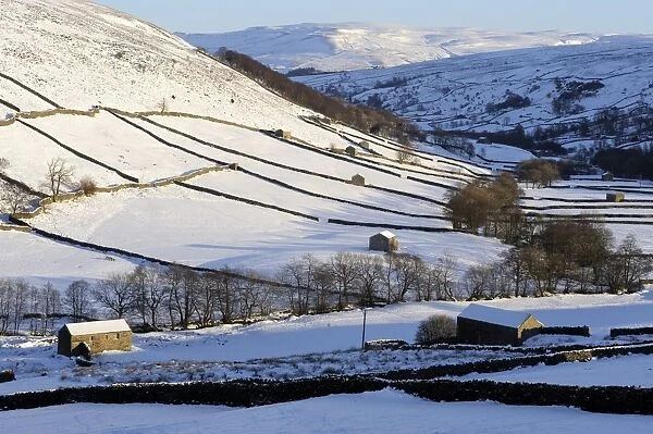 Stone barns in a winter landscape, Swaledale, Yorkshire Dales National Park