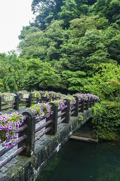 Stone bridge with flowers in Seogwipo, island of Jejudo, UNESCO World Heritage Site, South Korea, Asia