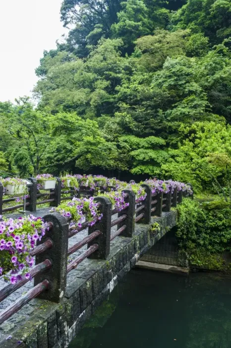 Framed Print : Stone bridge with flowers in Seogwipo, island of Jejudo, UNESCO World Heritage Site, South Korea, Asia Framed Print : Stone bridge with flowers in Seogwipo, island of Jejudo, UNESCO World Heritage Site, South Korea, Asia