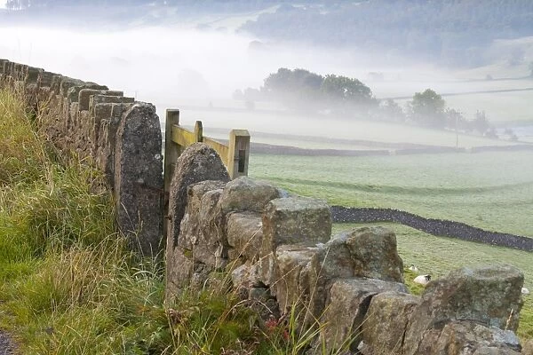 Stone Fence, Burnsall, Yorkshire Dales National Park, Yorkshire, England, United Kingdom, Europe
