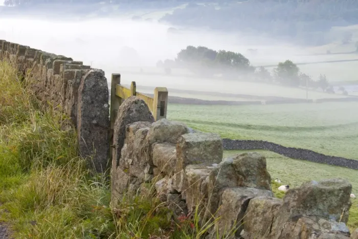 Framed Print : Stone Fence, Burnsall, Yorkshire Dales National Park, Yorkshire, England, United Kingdom, Europe Framed Print : Stone Fence, Burnsall, Yorkshire Dales National Park, Yorkshire, England, United Kingdom, Europe