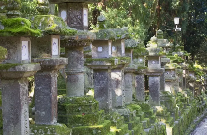 Framed Print : Stone lanterns at dusk at Kasuga Taisha Shrine, UNESCO World Heritage Site, Nara, Kansai, Japan, Asia Framed Print : Stone lanterns at dusk at Kasuga Taisha Shrine, UNESCO World Heritage Site, Nara, Kansai, Japan, Asia