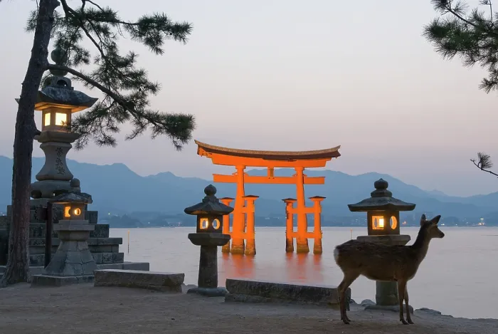 Framed Print : Stone lanterns and fallow deer in front of the iconic torii at the Itsukushima Shrine, on Miyajima island, hiroshima Prefecture, Japan