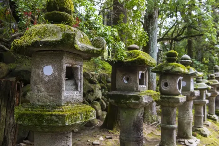 Framed Print : Stone lanterns, Nara, Kansai, Japan, Asia Framed Print : Stone lanterns, Nara, Kansai, Japan, Asia