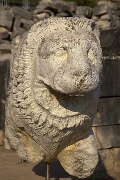 Stone lion at Temple of Apollo, Didyma, Anatolia, Turkey, Asia Minor, Eurasia