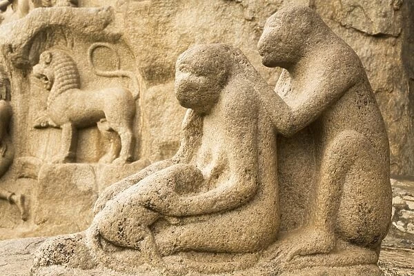 A stone sculpture depicts a group of monkeys grooming close to Arjunas Penance within the ancient site of Mahabalipuram (Mamallapuram), UNESCO World Heritage Site, Tamil Nadu