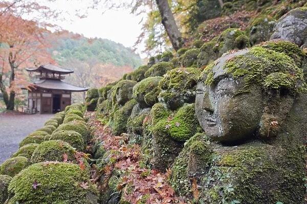Stone statues and autumn maple leaves at Otagi Nenbutsu ji Temple, Arashiyama Sagano area