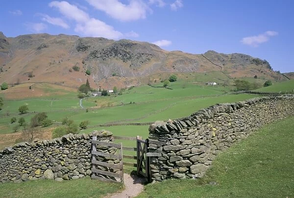Stone wall, fields and Lingmoor Fell, Little Langdale, Lake District, Cumbria