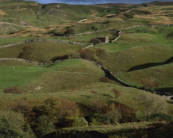 Stone walls, fields and farmhouse in valley, Swaledale, Yorkshire Dales National Park