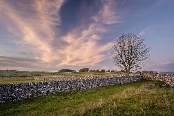 Stone walls and fields at sunset in autumn, Sheldon, Peak District National Park