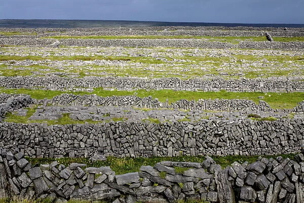 Stone walls on Inis Mor (Inishmore)