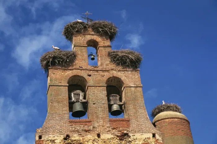 Framed Print : Storks nest on parish church, Villar de Mazarife, Leon, Spain, Europe Framed Print : Storks nest on parish church, Villar de Mazarife, Leon, Spain, Europe