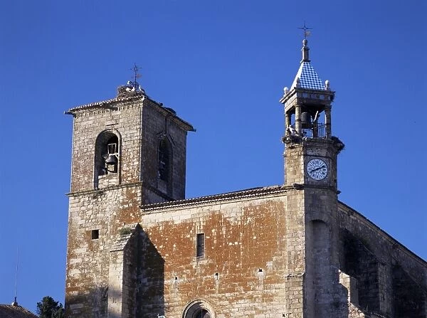Storks on tower of San Martin church