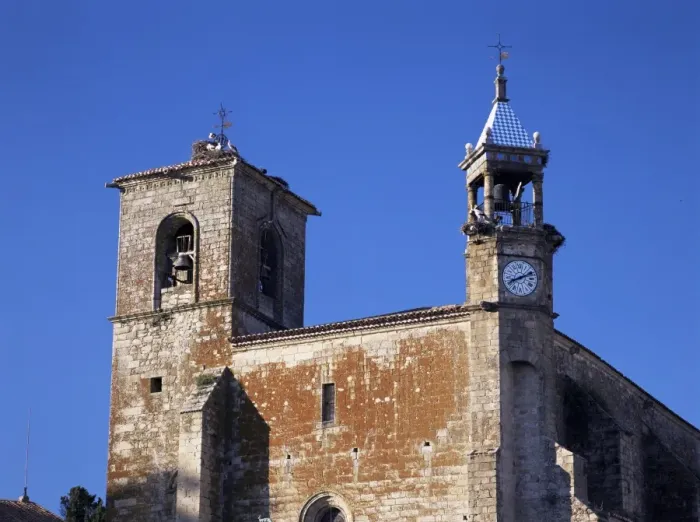 Framed Print : Storks on tower of San Martin church