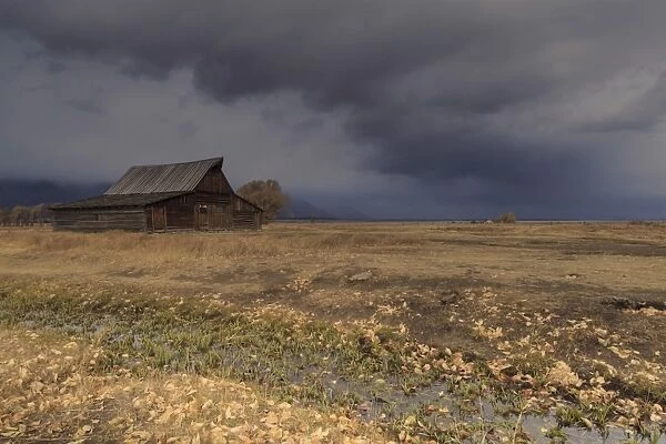 Storm approaches, autumn (fall) leaves and drainage ditch with Mormon Row barn, Grand Teton National Park, Wyoming, United States of America, North America